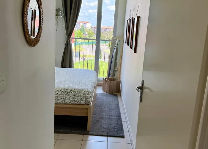 Appartement Cosy - Rénové Et Lumineux - Colomiers